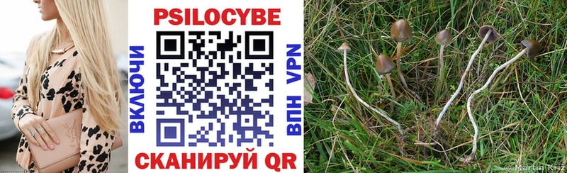 mega ТОР  Тосно  Галлюциногенные грибы прущие грибы  сколько стоит 