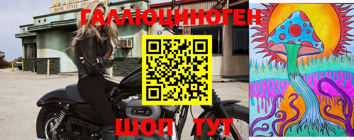 Псилоцибиновые грибы GOLDEN TEACHER  Вход с VPN  Тосно 
