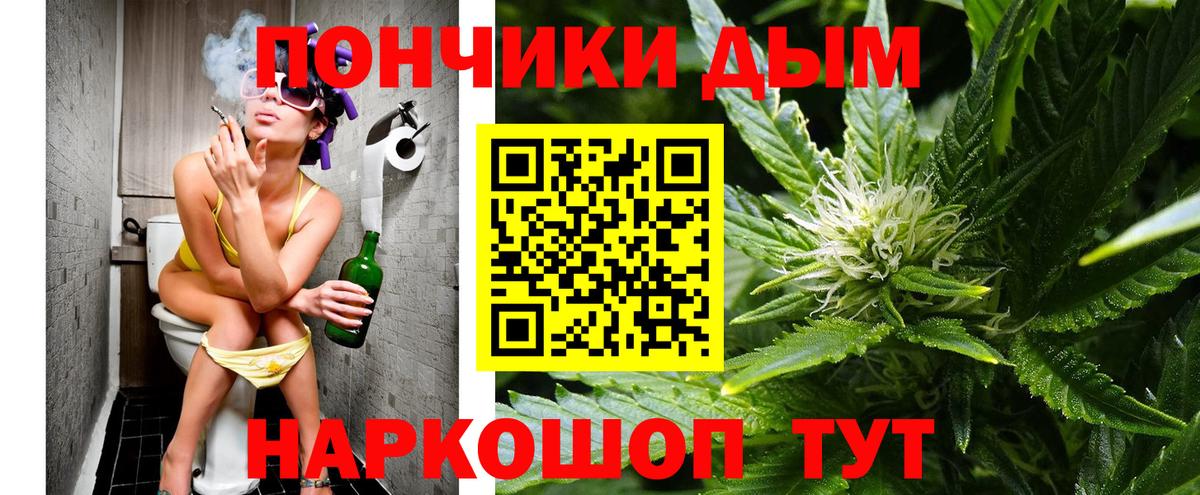 Бошки марихуана планчик  Бошки марихуана OG Kush  Вход с VPN  Канабис сатива  Канабис семена  Тосно 